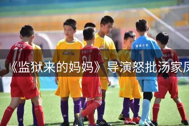 《监狱来的妈妈》导演怒批汤家凤！汤家凤犀利回怼：你的电影为何没能上映？